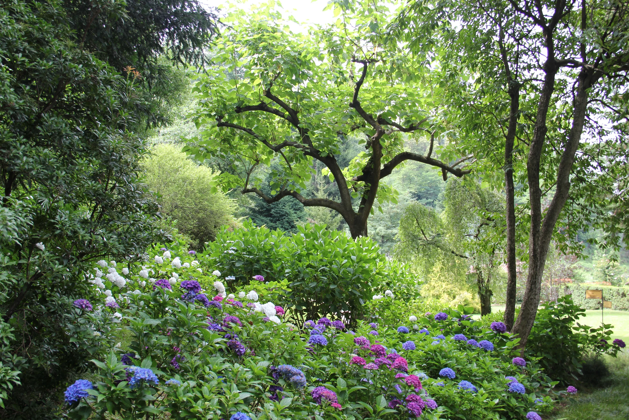 bright garden in the spring