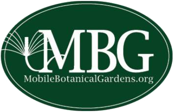 MBG